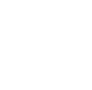 Planet Granite Music & Dance Festival white logo