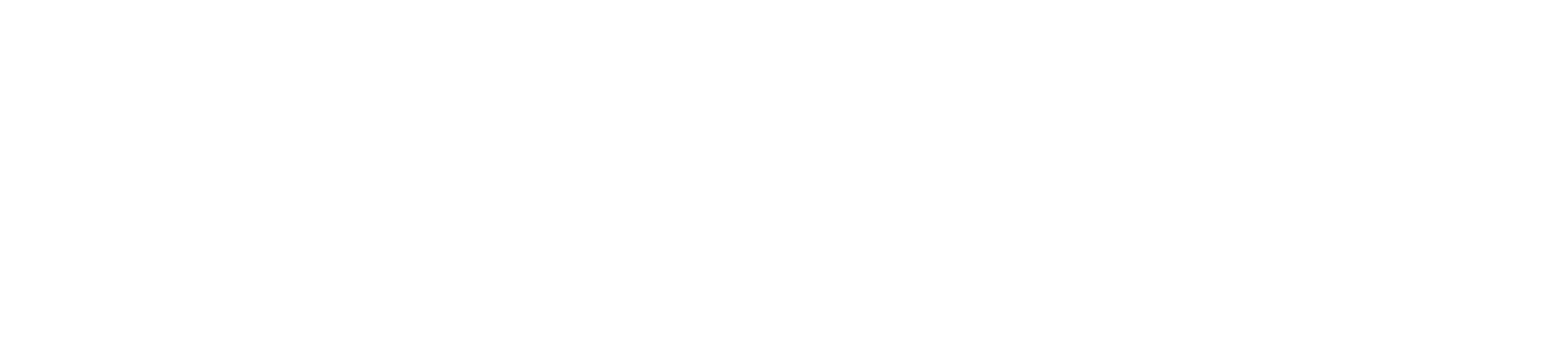 light logo