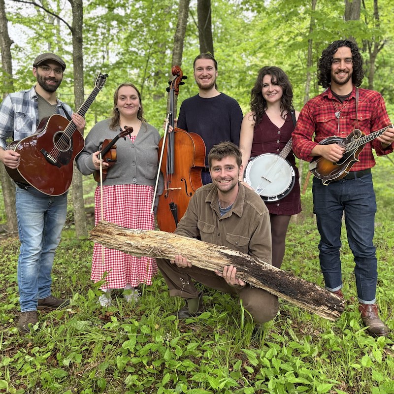 Bugs on a Log Band Photo